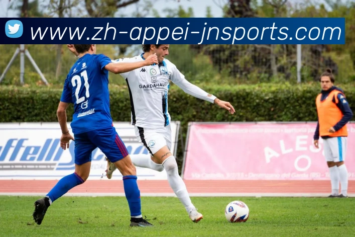 App Interface Preview